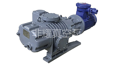 解密影響耐腐蝕羅茨真空泵效率的幾種內(nèi)在因素【非耀】