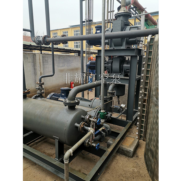 耐腐蝕羅茨真空泵