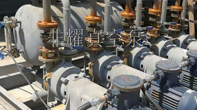 固定不銹鋼水環(huán)真空泵，這篇文章寫的淋漓盡致【非耀】