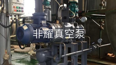 干式螺桿真空泵