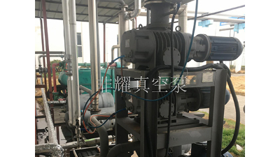關(guān)乎羅茨真空泵機(jī)組工作效能落差感【非耀】