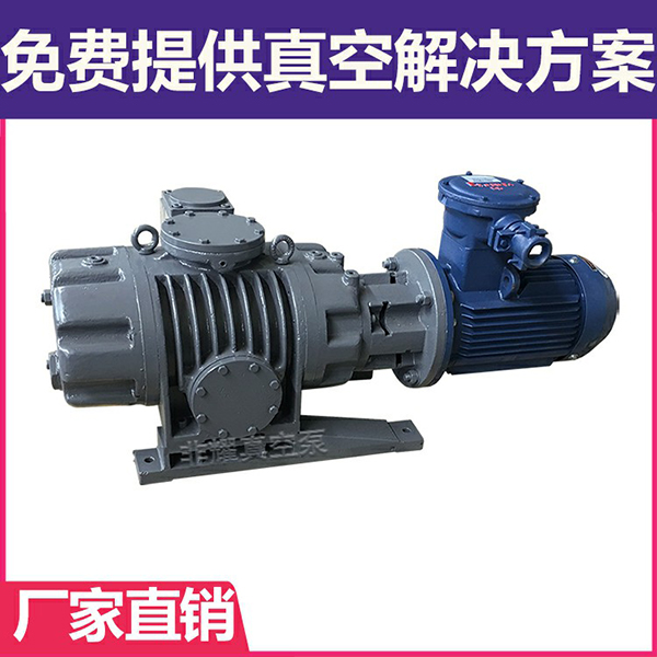 ZJP羅茨真空泵