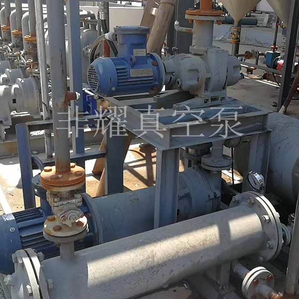 耐腐蝕羅茨真空泵