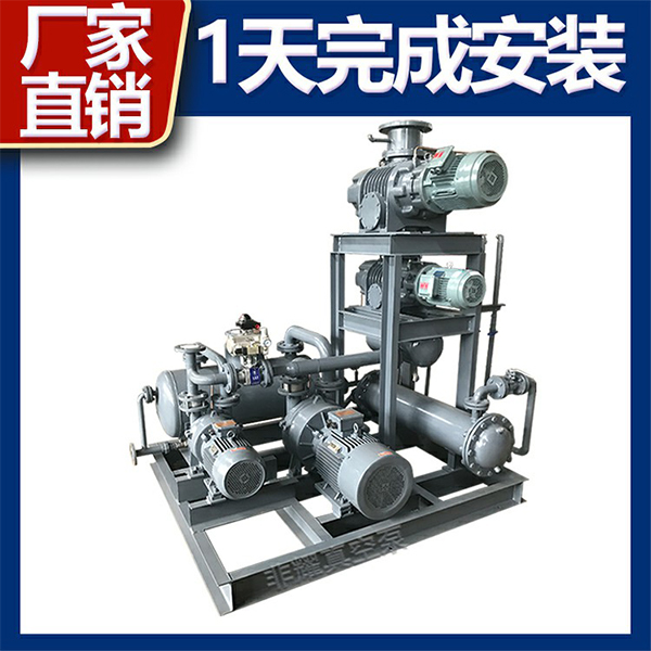 羅茨水環(huán)真空泵機組