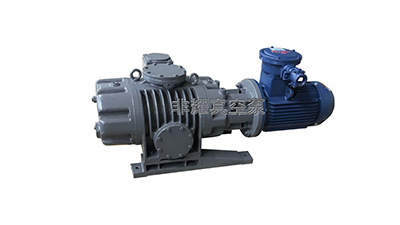 保養(yǎng)羅茨式真空泵好處多分享【非耀】