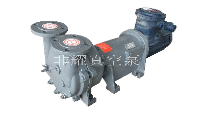 2BV水環(huán)真空泵腐蝕原因分析【非耀】