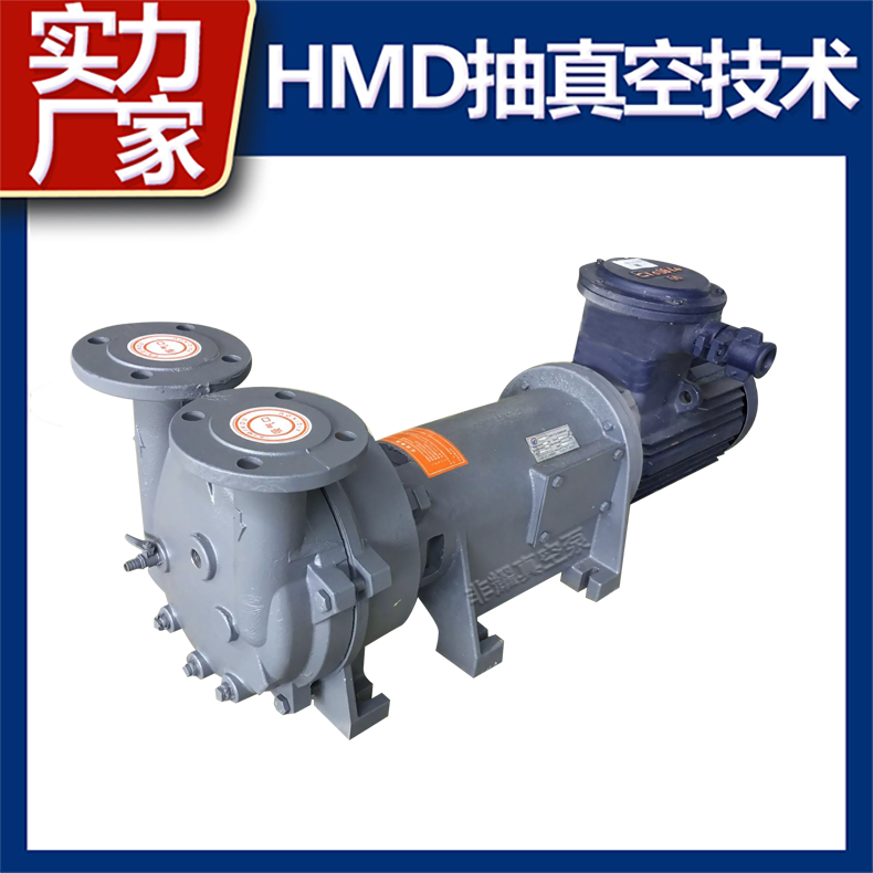 防爆水環(huán)真空泵