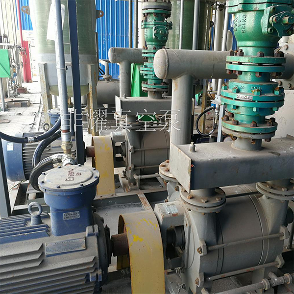 防爆水環(huán)真空泵