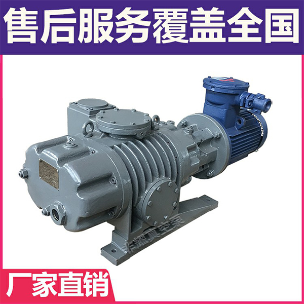 耐腐蝕羅茨真空泵