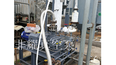 廠家介入LGB螺桿真空泵轉(zhuǎn)速不能過高的原因【非耀】