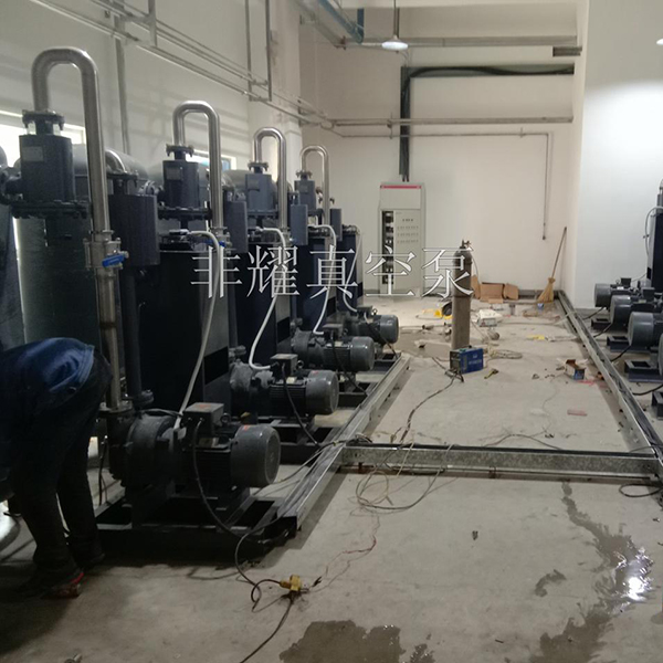 直連水環(huán)式真空泵