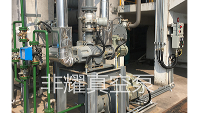 ZJP羅茨真空泵軸承轉(zhuǎn)不動(dòng)的原因【非耀】