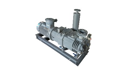 螺桿真空泵有什么結(jié)構(gòu)特點？