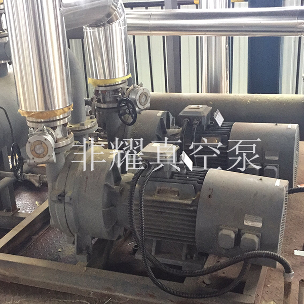 防爆水環(huán)真空泵