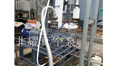 掌握這兩點(diǎn)干式螺桿真空泵的選型變簡單【非耀】