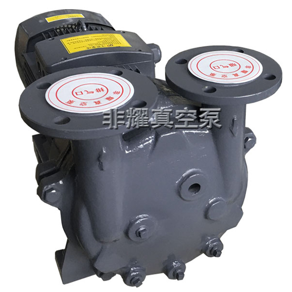 水環(huán)真空泵常見故障