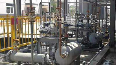 白嫖水環(huán)真空泵機(jī)組剛需部件清單，止回閥被劃重點(diǎn)【非耀】