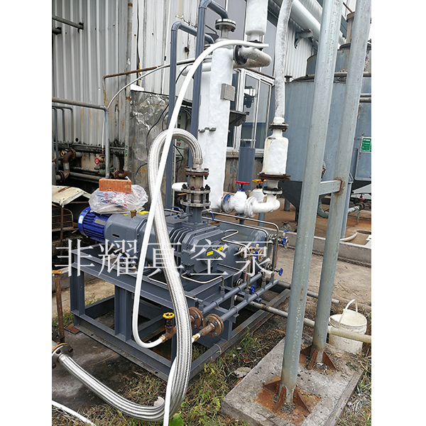 無油干式螺桿真空泵