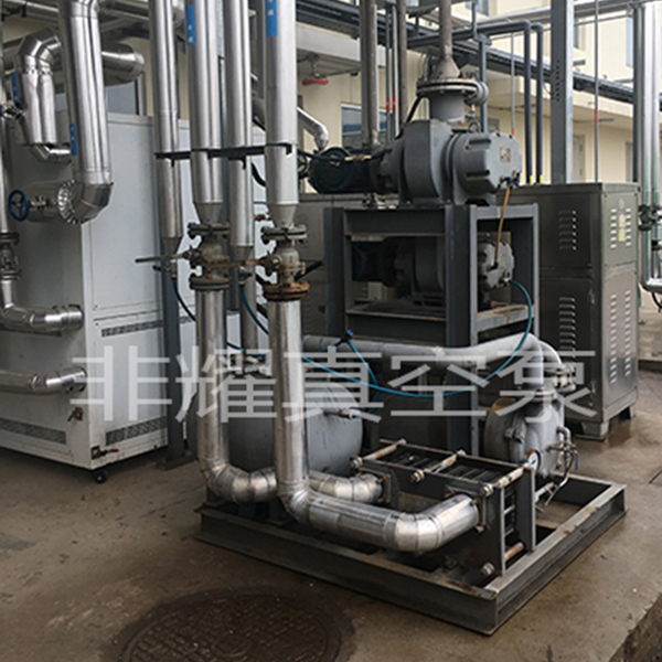 羅茨真空泵機組型號