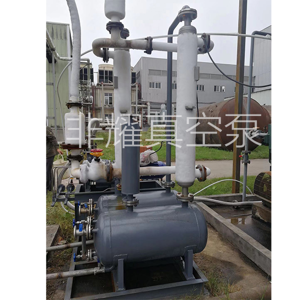 無油螺桿真空泵