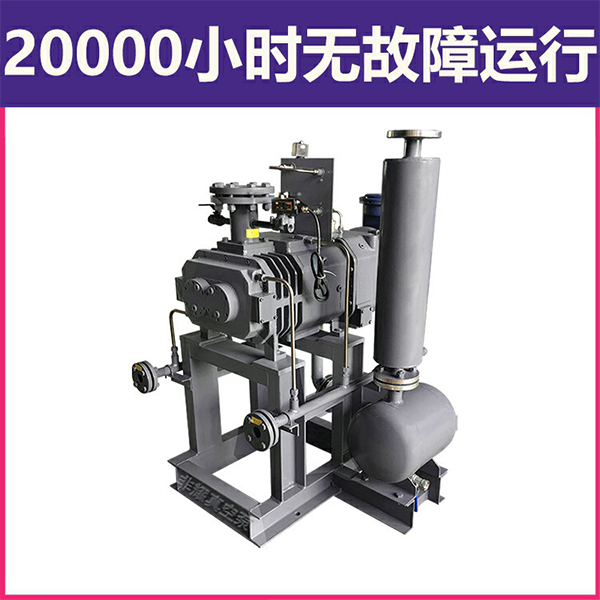 干式螺桿真空泵廠家