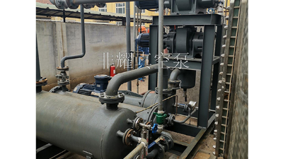 ZJP羅茨真空泵出現(xiàn)卡死原因令人心涼【非耀】