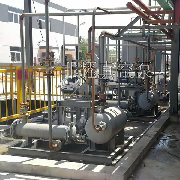 2BV水環(huán)式真空泵