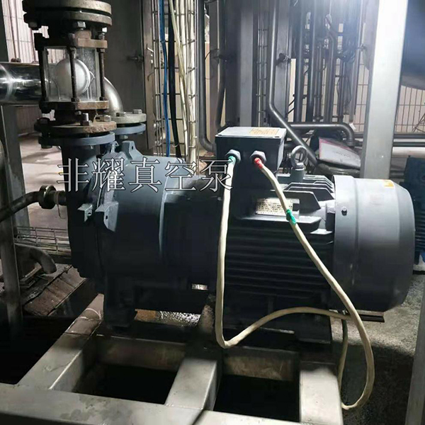 防爆水環(huán)真空泵