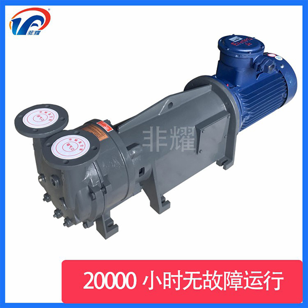 防爆水環(huán)真空泵