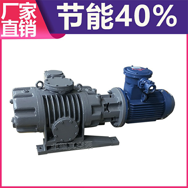羅茨真空泵型號